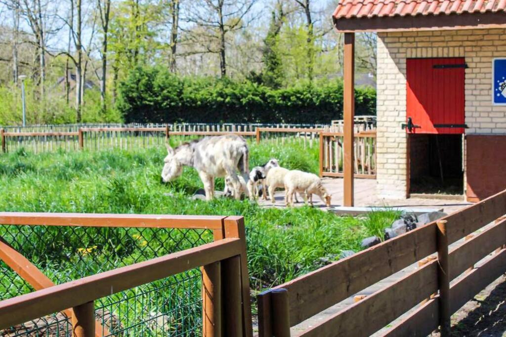 Tof Wellness Huis, Alles Nieuw, Gelegen Bij Meer. Ewijk Экстерьер фото
